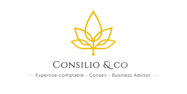 com-commerce_logo-consilio